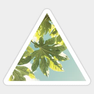 Fig Leaves Sticker